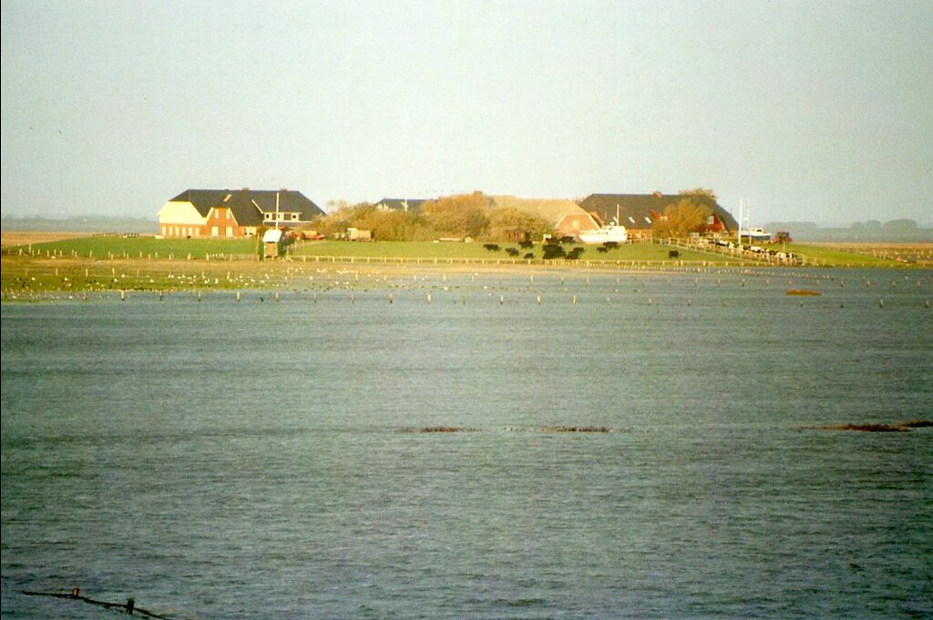 Warf